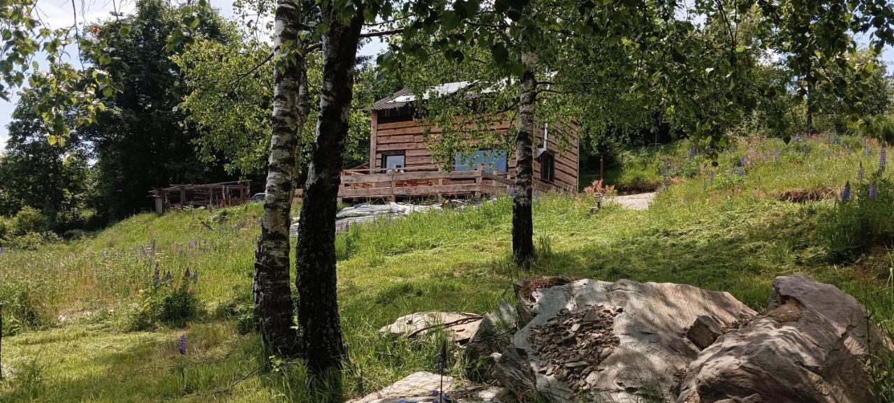 Enklawa W Porebie Długopole-Zdrój Extérieur photo